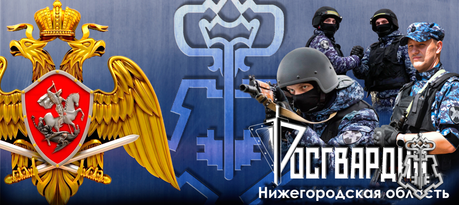 В Нижегородской области запущен многофункциональный сайт вневедомственной охраны Росгвардии