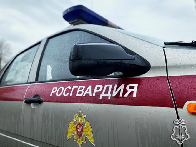 В Нижнем Новгороде и области росгвардейцы пресекли ряд имущественных преступлений