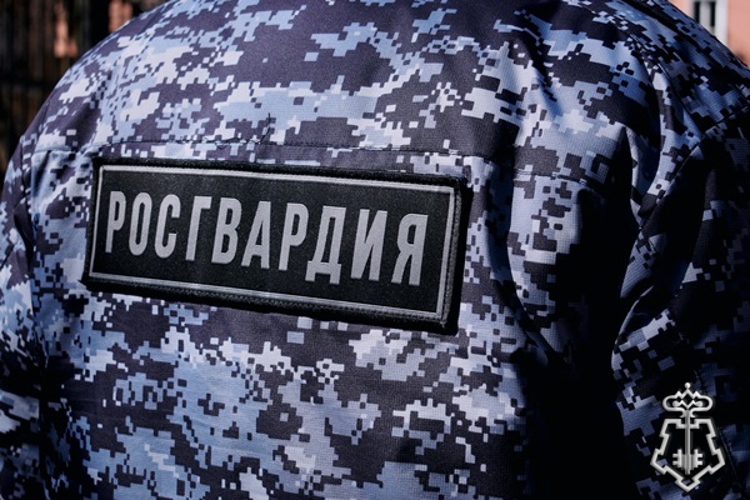 РОСГВАРДЕЙЦАМИ ЗАДЕРЖАН НИЖЕГОРОДЕЦ ЗА ТЕЛЕСНЫЕ ПОВРЕЖДЕНИЯ СВОЕМУ КОЛЛЕГЕ