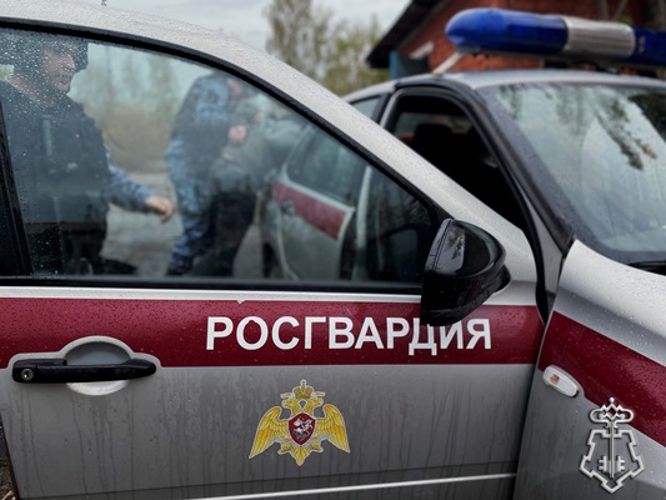 В НИЖНЕМ НОВГОРОДЕ РОСГВАРДЕЙЦЫ ЗАДЕРЖАЛИ ДВУХ ГРАЖДАН ЗА ПРОТИВОПРАВНОЕ ДЕЯНИЕ