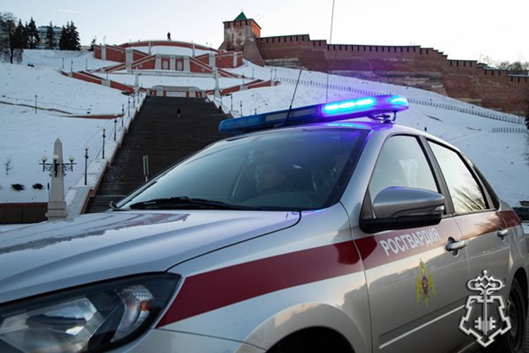 РОСГВАРДЕЙЦЫ ПРЕДОТВРАТИЛИ СЕРИЮ КРАЖ В НИЖНЕМ НОВГОРОДЕ