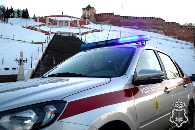  В НИЖНЕМ НОВГОРОДЕ РОСГВАРДЕЙЦЫ ЗАДЕРЖАЛИ МУЖЧИНУ, ОТКРЫТО ПОХИТИВШЕГО СОТОВЫЙ ТЕЛЕФОН ИЗ АВТОМОБИЛЯ