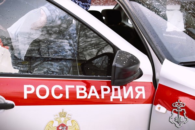 Нижегородские росгвардейцы за прошедшую неделю выезжали более 600 раз по сигналу «тревога»