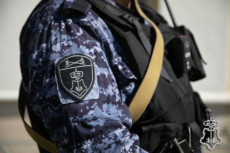 НИЖЕГОРОДСКИЕ РОСГВАРДЕЙЦЫ ЗАДЕРЖАЛИ МУЖЧИНУ ЗА НАНЕСЕНИЕ ТЕЛЕСНЫХ ПОВРЕЖДЕНИЙ ЖЕНЩИНЕ