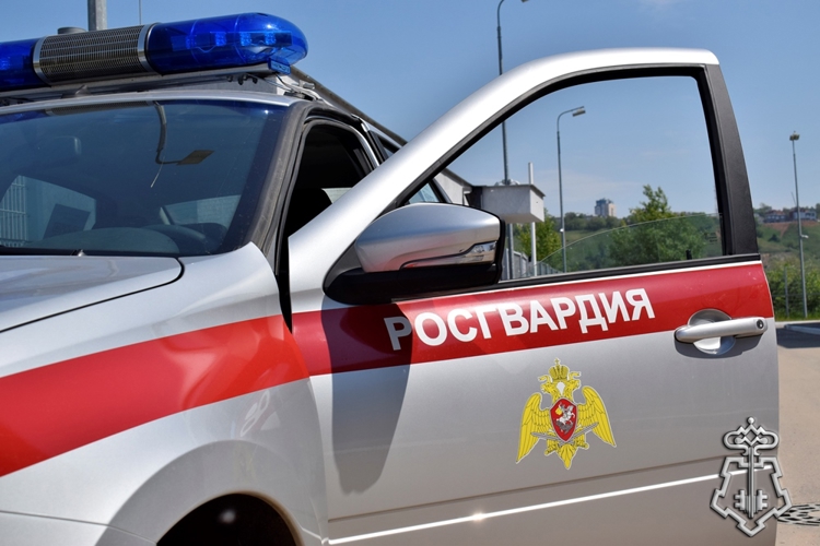 В НИЖНЕМ НОВГОРОДЕ РОСГВАРДЕЙЦАМИ ЗАДЕРЖАН ПОДОЗРЕВАЕМЫЙ В СОВЕРШЕНИИ КРАЖИ АЛКОГОЛЬНОЙ ПРОДУКЦИИ