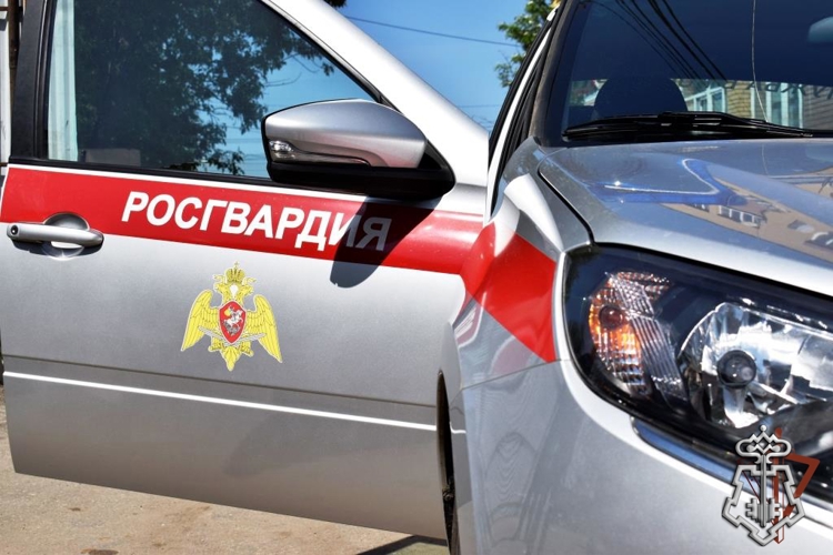 НИЖЕГОРОДСКИЕ РОСГВАРДЕЙЦЫ ЗА ПРОШЕДШУЮ НЕДЕЛЮ ВЫЕЗЖАЛИ БОЛЕЕ 650 РАЗ ПО СИГНАЛУ «ТРЕВОГА»